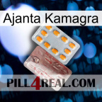Ajanta Kamagra new13